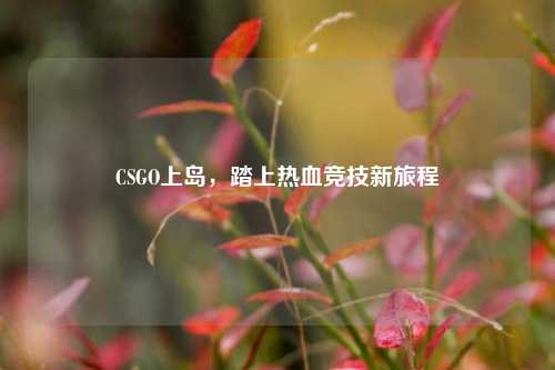 CSGO上岛，踏上热血竞技新旅程
