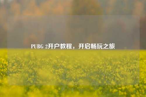 PUBG 2开户教程，开启畅玩之旅