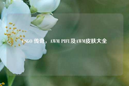 CSGO 传奇，AWM PIFU及AWM皮肤大全