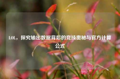 LOL，探究输出数据背后的竞技奥秘与官方计算公式