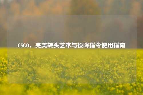 CSGO，完美转头艺术与投降指令使用指南