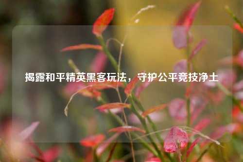揭露和平精英黑客玩法,守护公平竞技净土