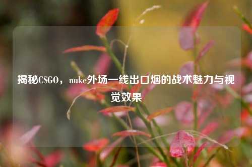 揭秘CSGO，nuke外场一线出口烟的战术魅力与视觉效果