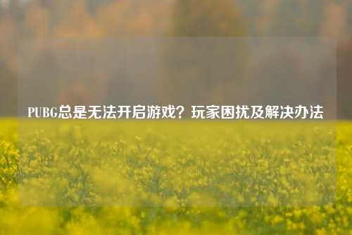 PUBG总是无法开启游戏？玩家困扰及解决办法