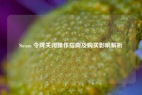 Steam 令牌关闭操作指南及购买影响解析
