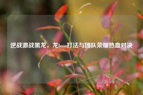 逆战激战黑龙，龙boss打法与团队荣耀热血对决