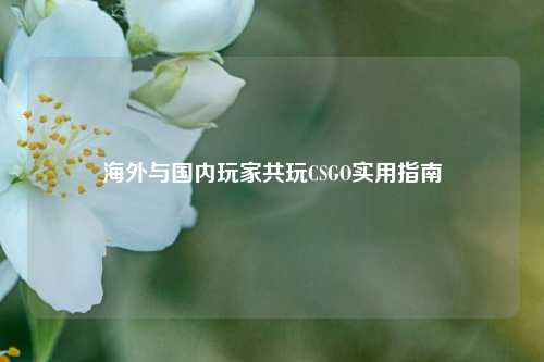 海外与国内玩家共玩CSGO实用指南