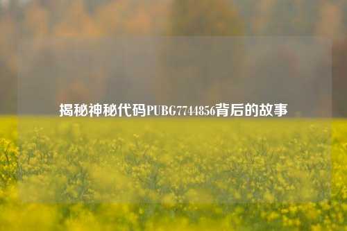 揭秘神秘代码PUBG7744856背后的故事