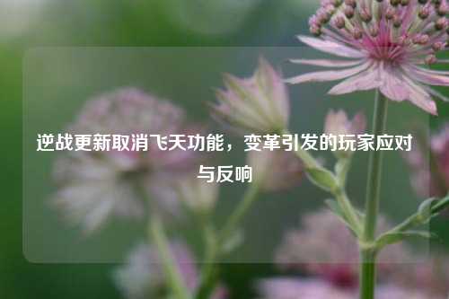 逆战更新取消飞天功能,变革引发的玩家应对与反响