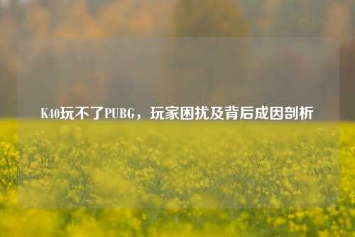 K40玩不了PUBG，玩家困扰及背后成因剖析