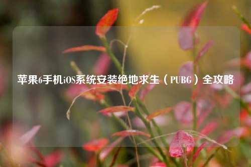 苹果6手机iOS系统安装绝地求生（PUBG）全攻略