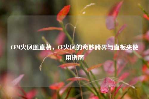 CFM火凤凰直装，CF火凤的奇妙跨界与直板夹使用指南