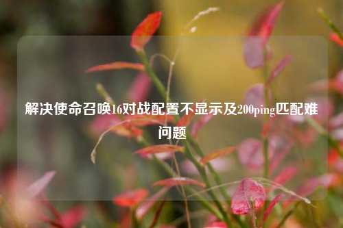 解决使命召唤16对战配置不显示及200ping匹配难问题