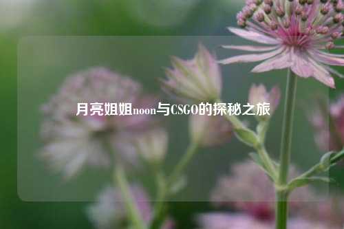 月亮姐姐noon与CSGO的探秘之旅