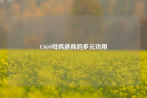 CSGO母鸡道具的多元功用