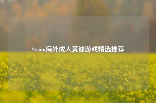 Steam海外成人黄油游戏精选推荐