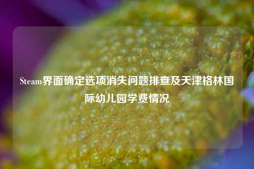 Steam界面确定选项消失问题排查及天津格林国际幼儿园学费情况
