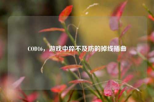 COD16，游戏中猝不及防的掉线插曲