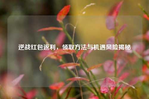 逆战红包返利，领取方法与机遇风险揭秘