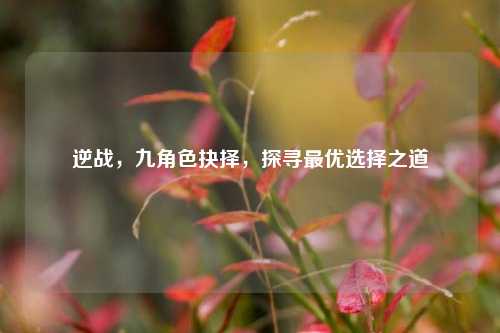 逆战，九角色抉择，探寻最优选择之道