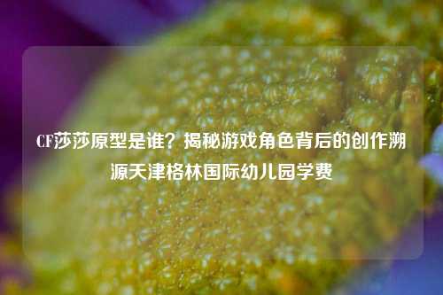 CF莎莎原型是谁?揭秘游戏角色背后的创作溯源天津格林国际幼儿园学费