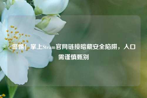 警惕！掌上Steam官网链接暗藏安全陷阱，入口需谨慎甄别