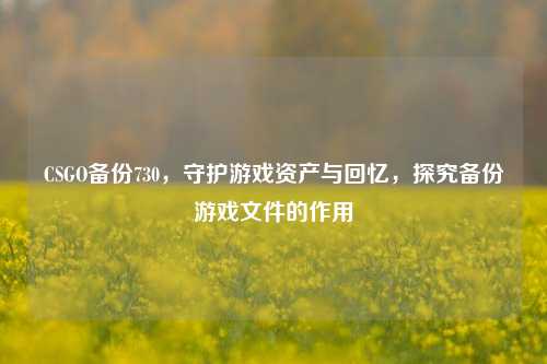 CSGO备份730,守护游戏资产与回忆,探究备份游戏文件的作用