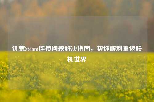 饥荒Steam连接问题解决指南,帮你顺利重返联机世界