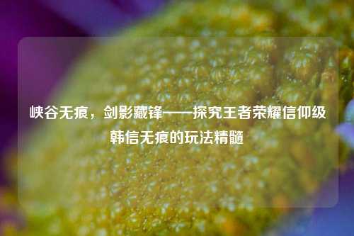 峡谷无痕，剑影藏锋——探究王者荣耀信仰级韩信无痕的玩法精髓