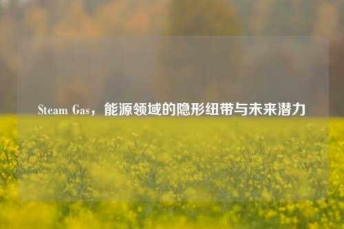 Steam Gas,能源领域的隐形纽带与未来潜力