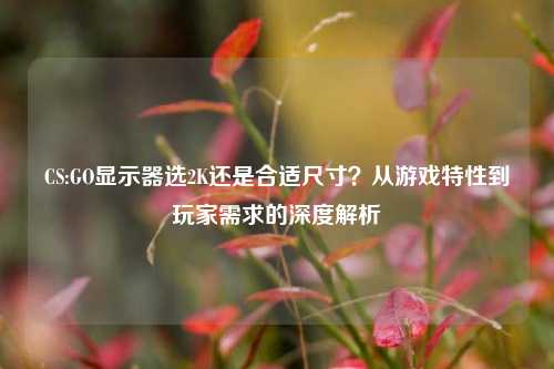 CS:GO显示器选2K还是合适尺寸?从游戏特性到玩家需求的深度解析