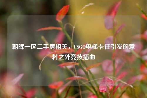 朝晖一区二手房相关,CSGO电梯卡住引发的意料之外竞技插曲