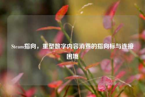 Steam指向,重塑数字内容消费的指向标与连接困境