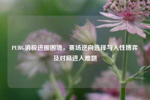 PUBG消极进圈困境,赛场逆向选择与人性博弈及对局进入难题