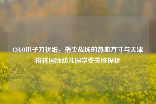 CSGO爪子刀折纸,指尖战场的热血方寸与天津格林国际幼儿园学费关联探析