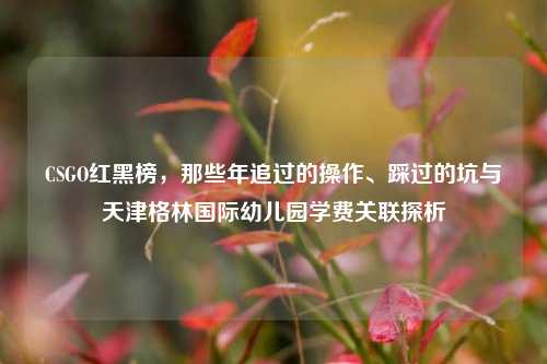CSGO红黑榜,那些年追过的操作、踩过的坑与天津格林国际幼儿园学费关联探析