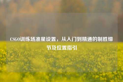 CSGO训练场准星设置,从入门到精通的制胜细节及位置指引
