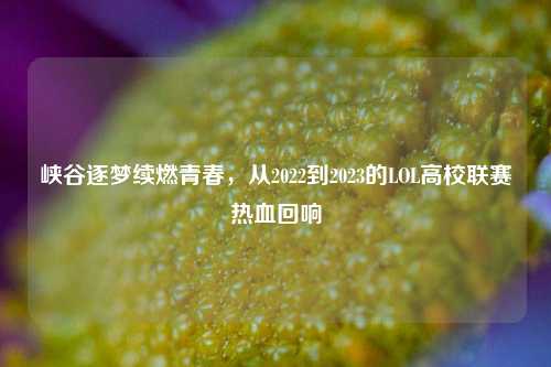 峡谷逐梦续燃青春，从2022到2023的LOL高校联赛热血回响