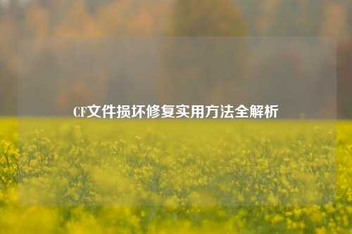 CF文件损坏修复实用方法全解析