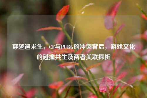 穿越遇求生,CF与PUBG的冲突背后,游戏文化的碰撞共生及两者关联探析