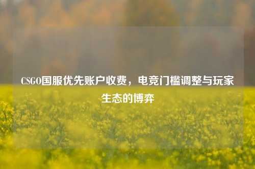 CSGO国服优先账户收费，电竞门槛调整与玩家生态的博弈
