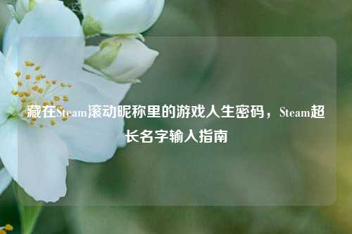 藏在Steam滚动昵称里的游戏人生密码,Steam超长名字输入指南