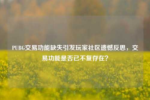 PUBG交易功能缺失引发玩家社区遗憾反思,交易功能是否已不复存在?