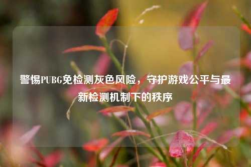 警惕PUBG免检测灰色风险，守护游戏公平与最新检测机制下的秩序