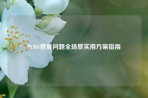 PUBG修复问题全场景实用方案指南