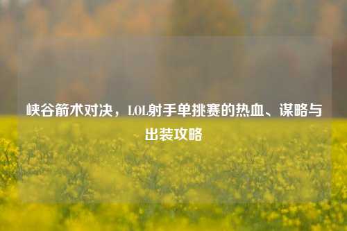 峡谷箭术对决，LOL射手单挑赛的热血、谋略与出装攻略