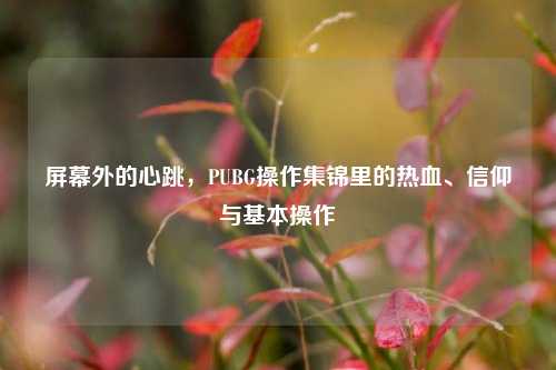 屏幕外的心跳,PUBG操作集锦里的热血、信仰与基本操作