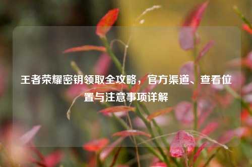 王者荣耀密钥领取全攻略,官方渠道、查看位置与注意事项详解