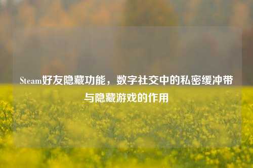 Steam好友隐藏功能,数字社交中的私密缓冲带与隐藏游戏的作用
