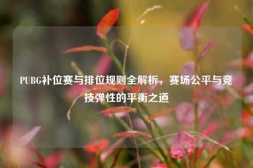 PUBG补位赛与排位规则全解析,赛场公平与竞技弹性的平衡之道
